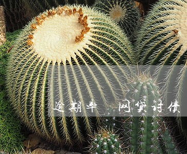 逾期率 网贷讨债 逾期率 网贷讨债
